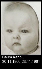 Baum-Karin.-1960-bis-1961