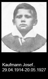 Kaufmann-Josef..-1914-bis-1927